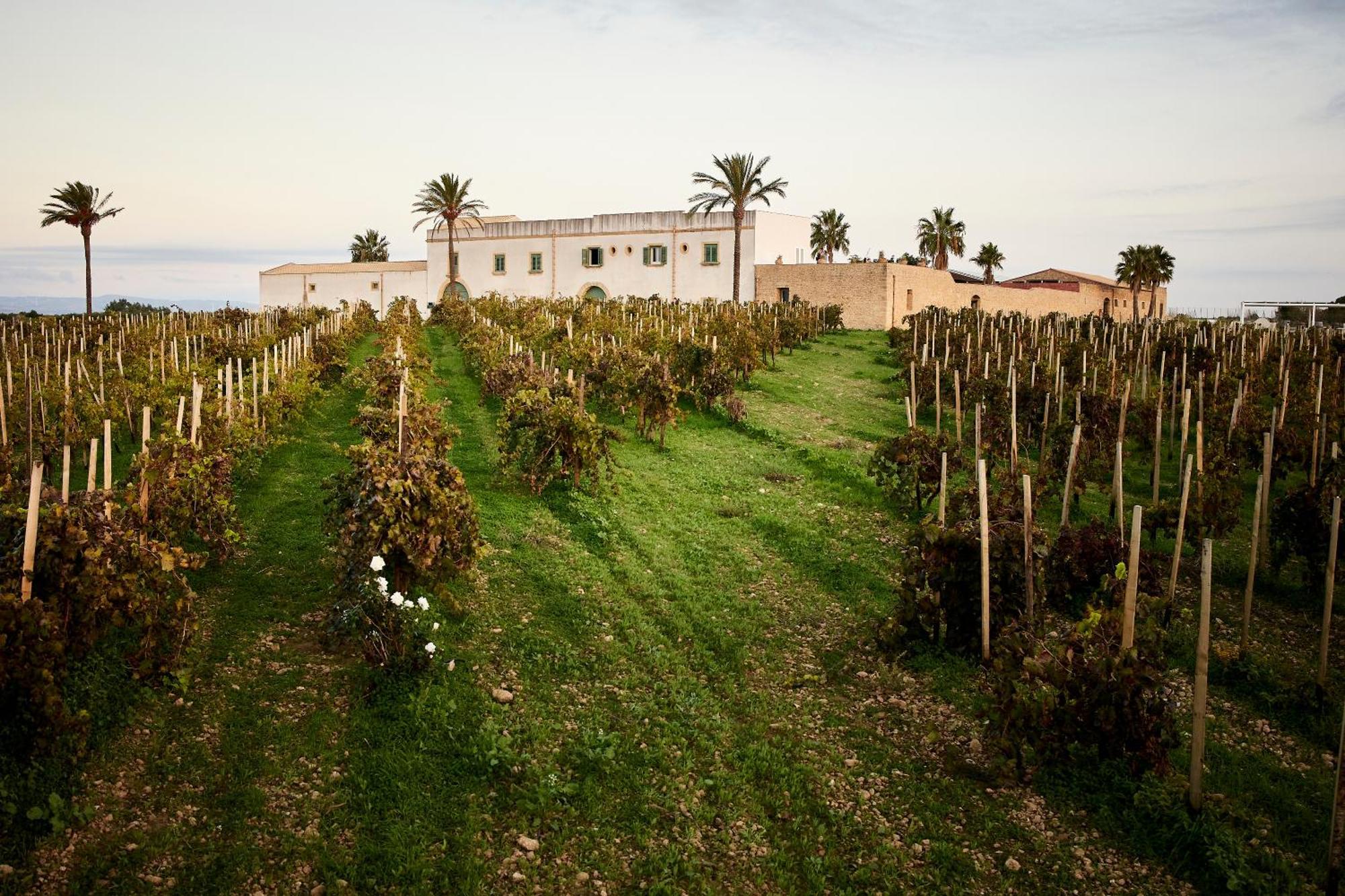 מרסאלה Agriturismo Baglio Donnafranca Wine Resort מראה חיצוני תמונה