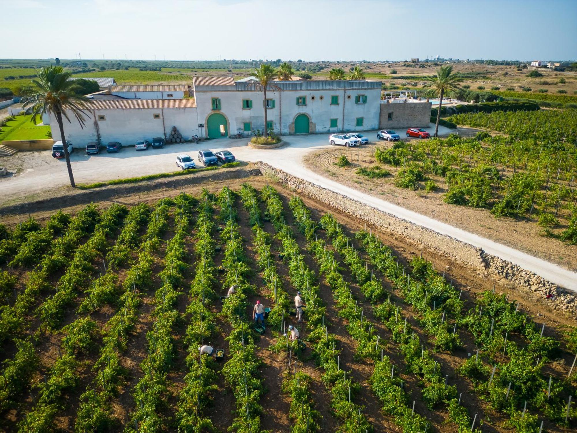 מרסאלה Agriturismo Baglio Donnafranca Wine Resort מראה חיצוני תמונה