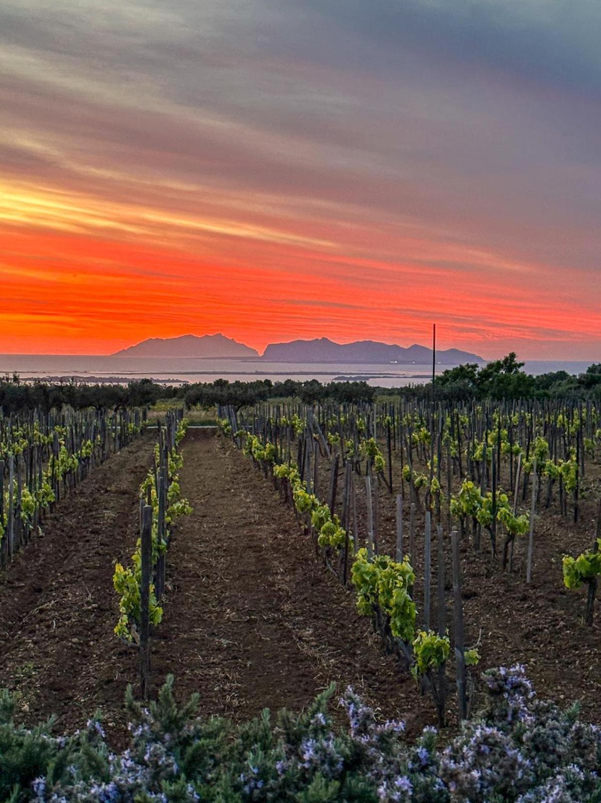 מרסאלה Agriturismo Baglio Donnafranca Wine Resort מראה חיצוני תמונה